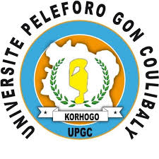 University Partner 2